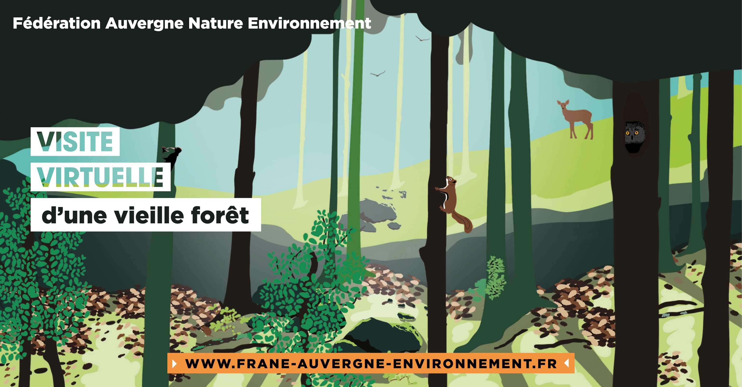 FrANE bannière site light