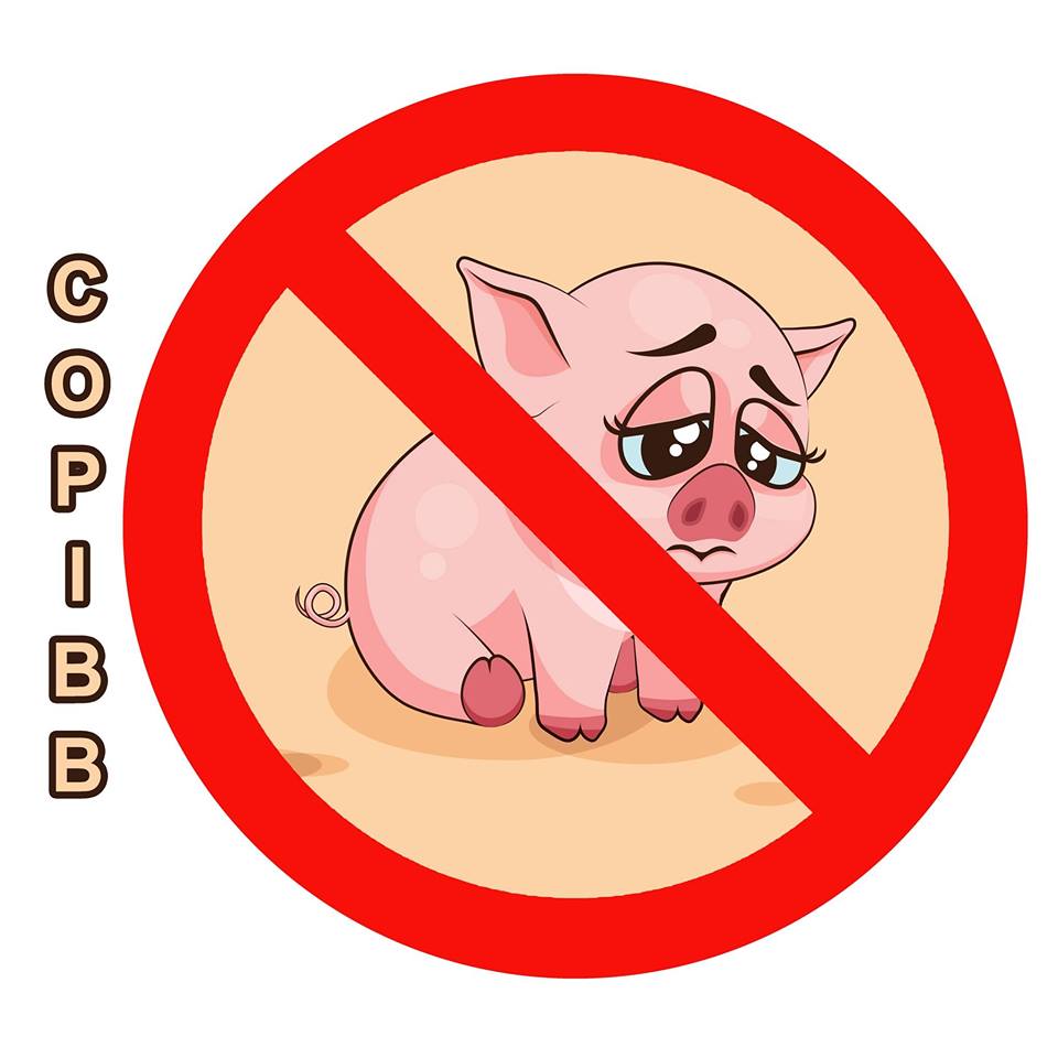 LOGO COPIBB