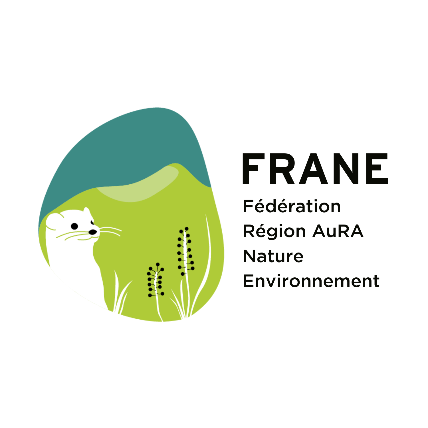 FRANE 4