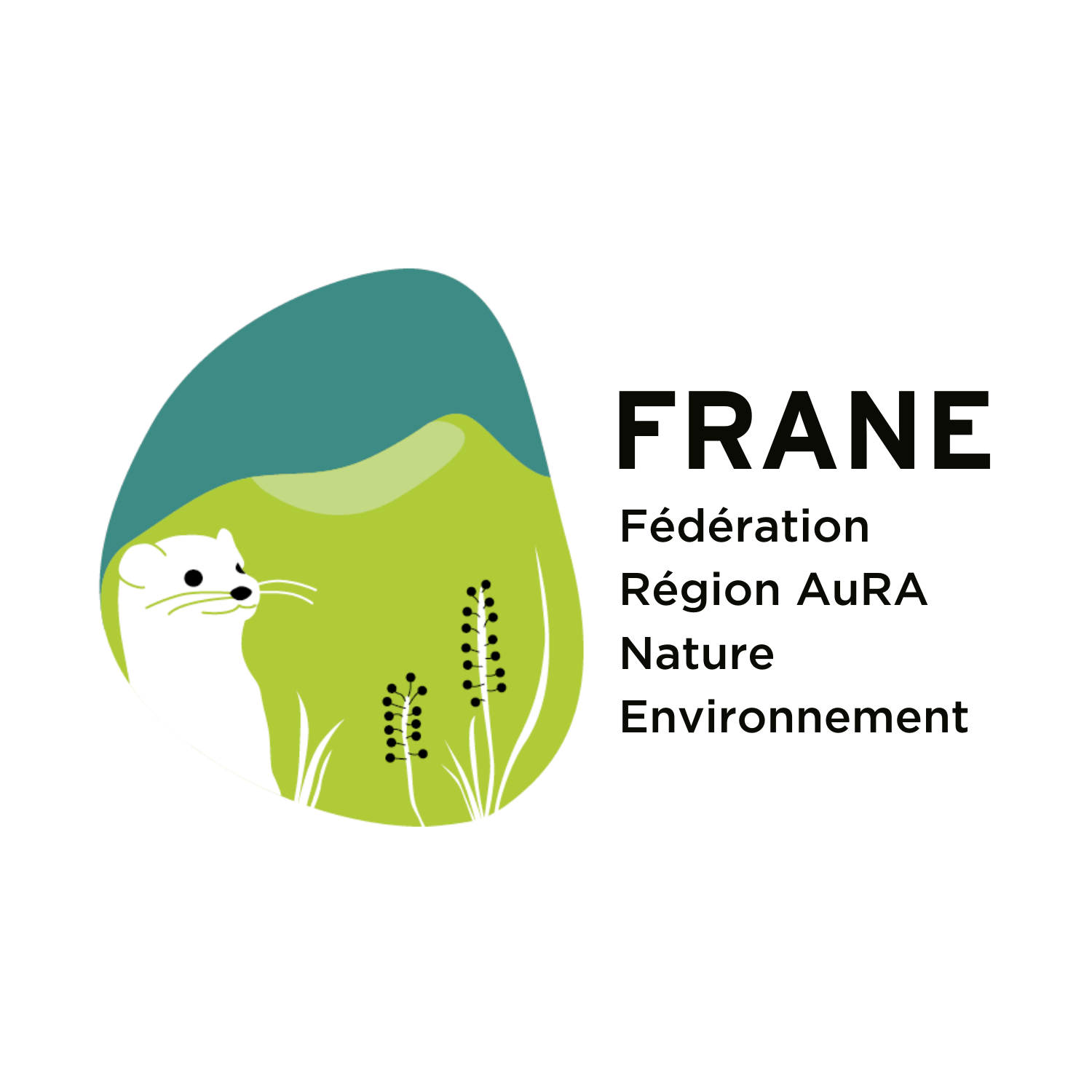 FRANE contour blanc