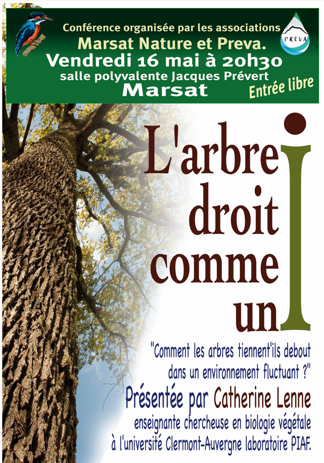 affiche.png