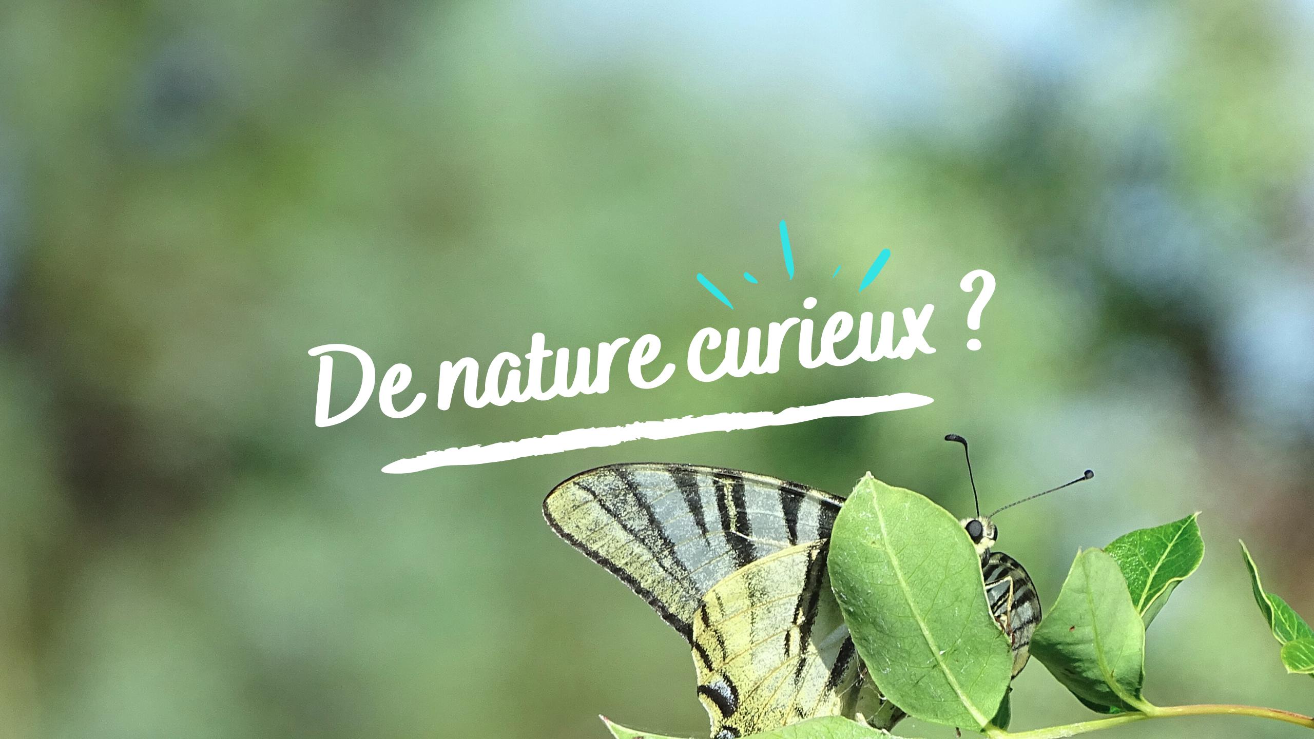 denaturecurieux