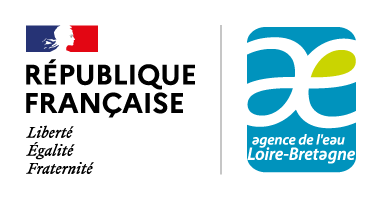Logo RFIAE CourtSeparVerticale200px
