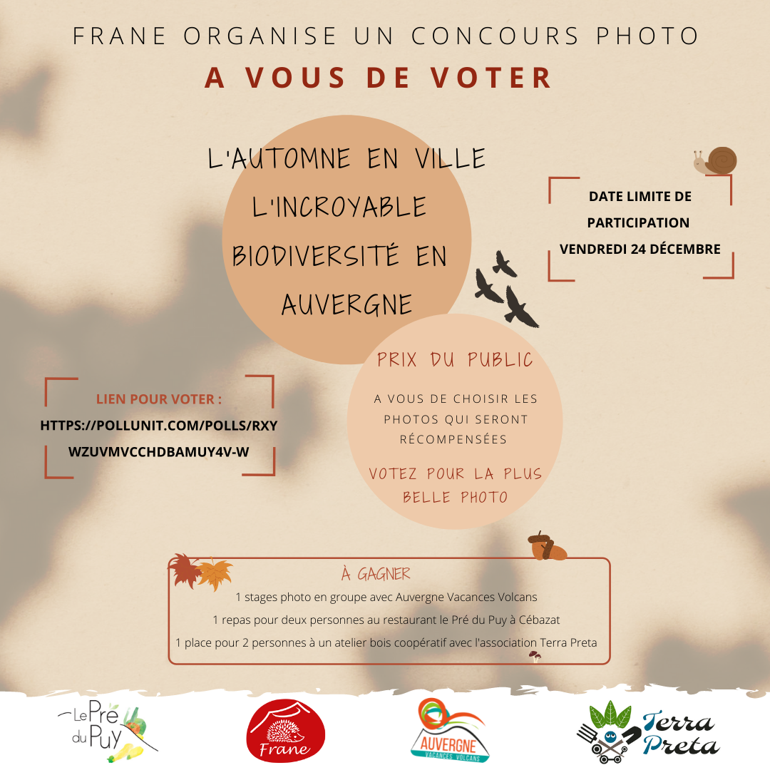 Concours Photo vote