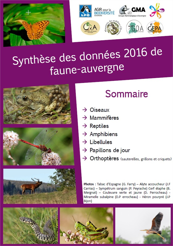 Synthèse des Données Faune-Auvergne 2016